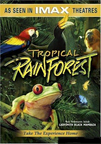 tropical.jpg