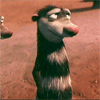 foto_53284.gif