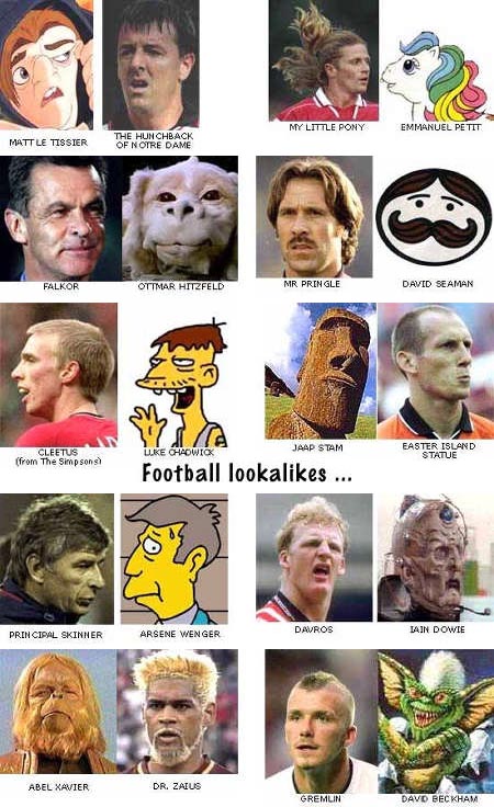 lookalikes.jpg