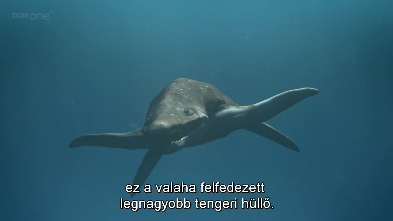 elet2.jpg