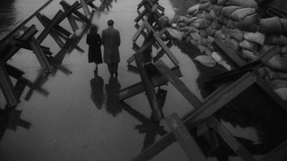 53480_10.jpg