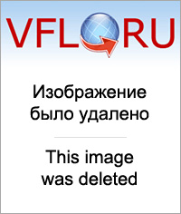 13405054.jpg