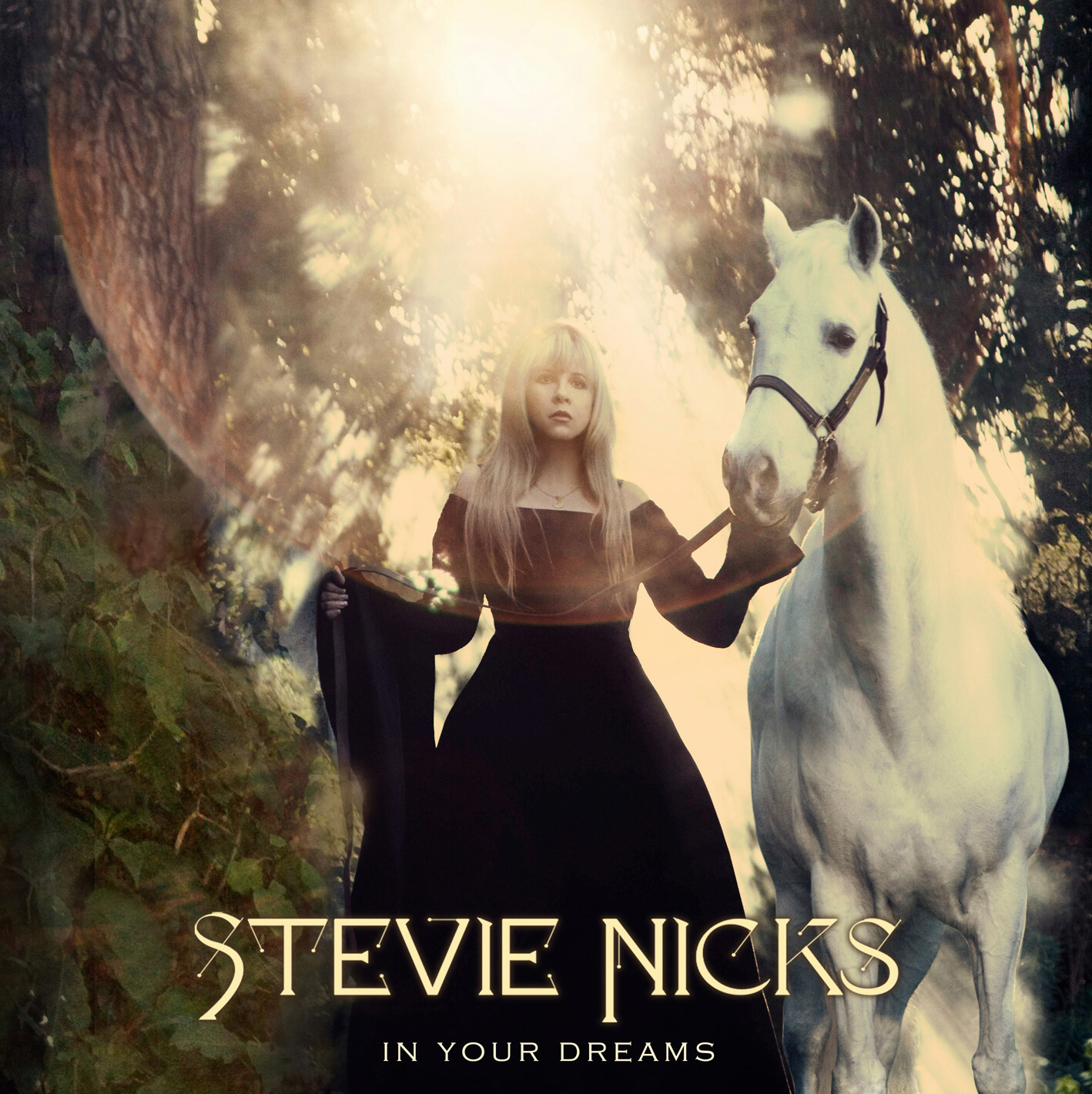 HQ+In+Your+Dreams+Album+Cover+Stevie+Nicks+1.jpg